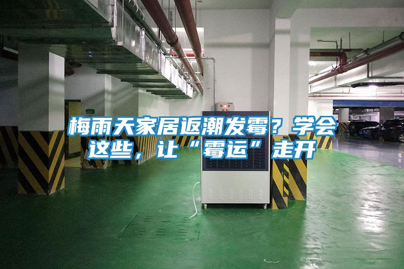 梅雨天家居返潮发霉？学会这些，让“霉运”走开