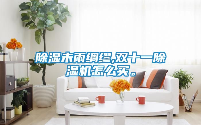 除湿未雨绸缪,双十一除湿机怎么买。