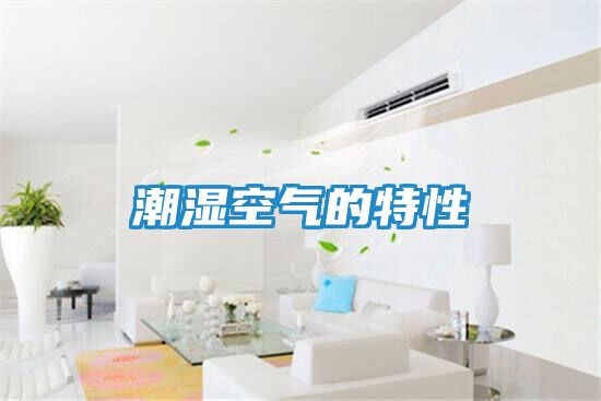 潮湿空气的特性
