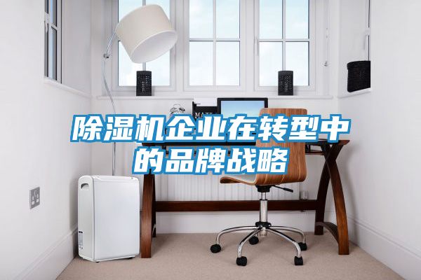 除湿机企业在转型中的品牌战略