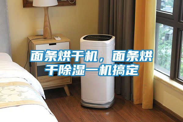 面条烘干机，面条烘干除湿一机搞定