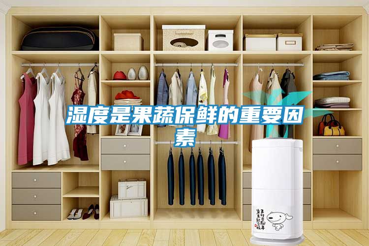 湿度是果蔬保鲜的重要因素
