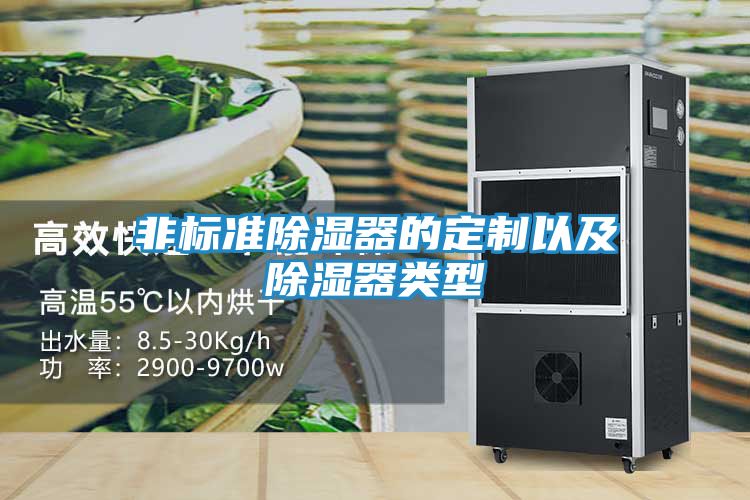 非标准除湿器的定制以及除湿器类型