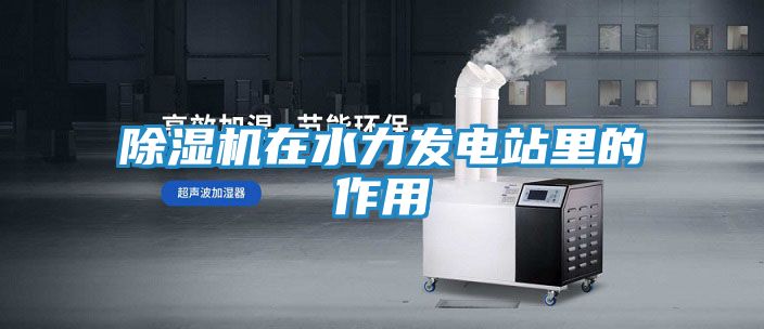 除湿机在水力发电站里的作用