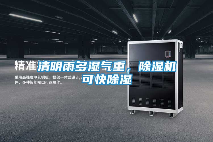 清明雨多湿气重，除湿机可快除湿