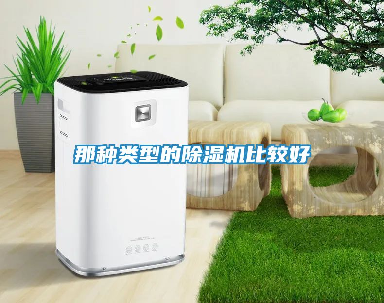 那种类型的除湿机比较好
