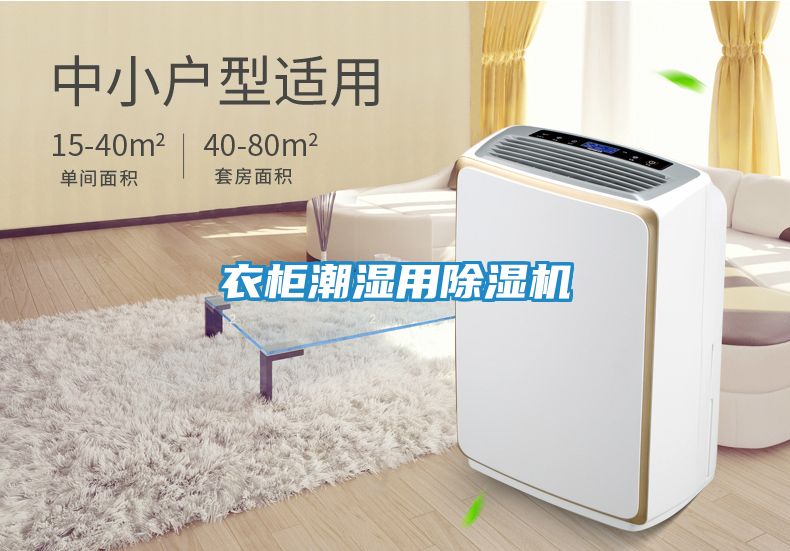 衣柜潮湿用除湿机