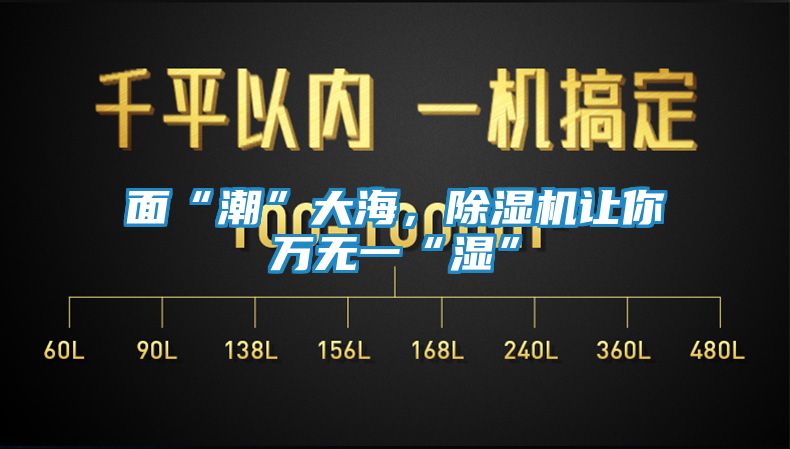 面“潮”大海，除湿机让你万无一“湿”