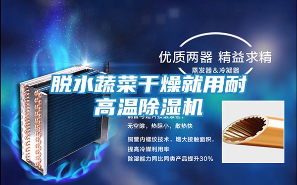 脱水蔬菜干燥就用耐高温除湿机