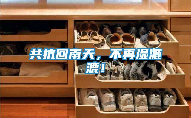 共抗回南天,不再湿漉漉!