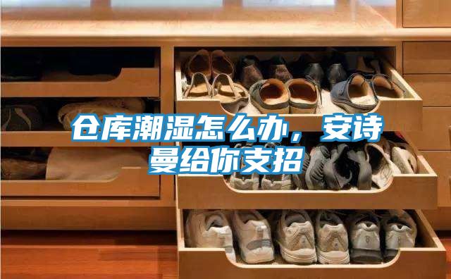 仓库潮湿怎么办，安诗曼给你支招