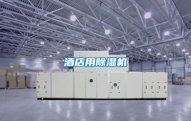 酒店用除湿机