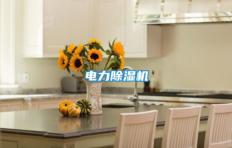 电力除湿机
