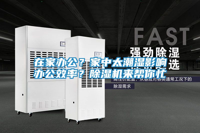 在家办公？家中太潮湿影响办公效率？除湿机来帮你忙