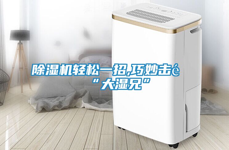 除湿机轻松一招,巧妙击退“大湿兄”