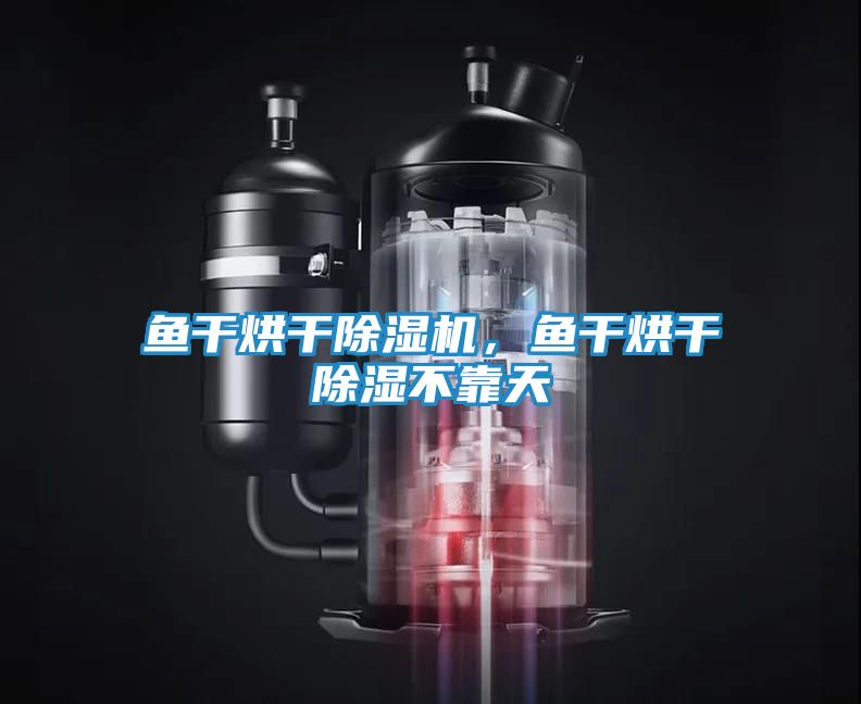鱼干烘干除湿机，鱼干烘干除湿不靠天