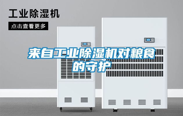 来自工业除湿机对粮食的守护