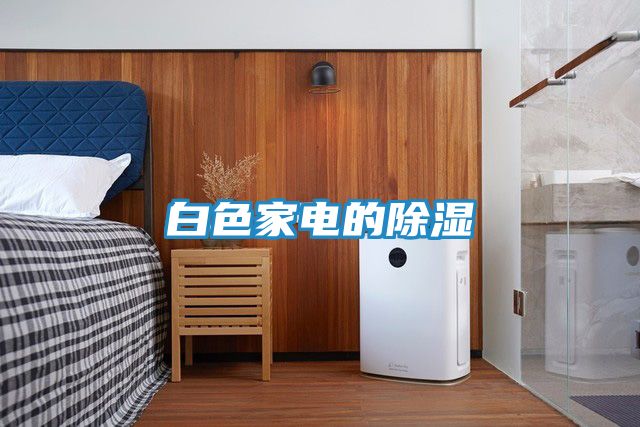 白色家电的除湿