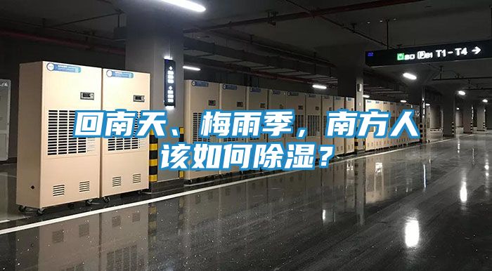 回南天、梅雨季，南方人该如何除湿？