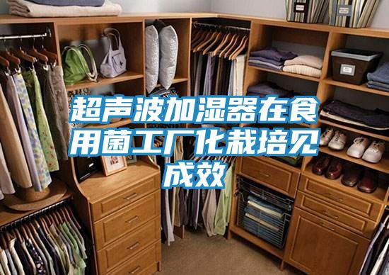 超声波加湿器在食用菌工厂化栽培见成效