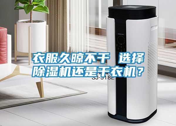 衣服久晾不干 选择除湿机还是干衣机？