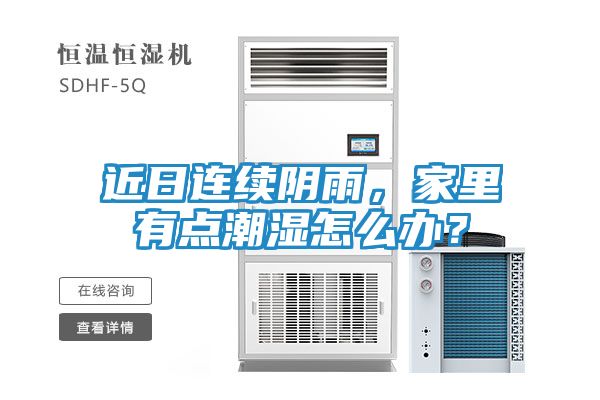 近日连续阴雨,家里有点潮湿怎么办?