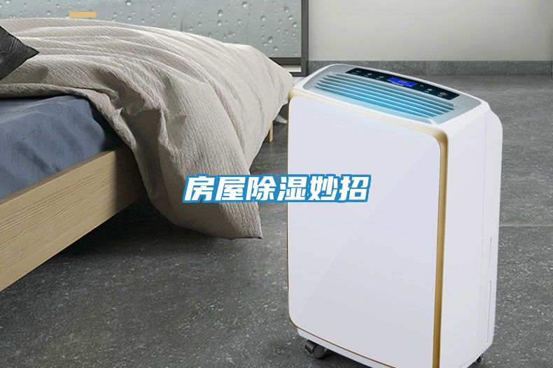 房屋除湿妙招