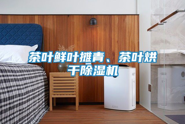 茶叶鲜叶摊青、茶叶烘干除湿机