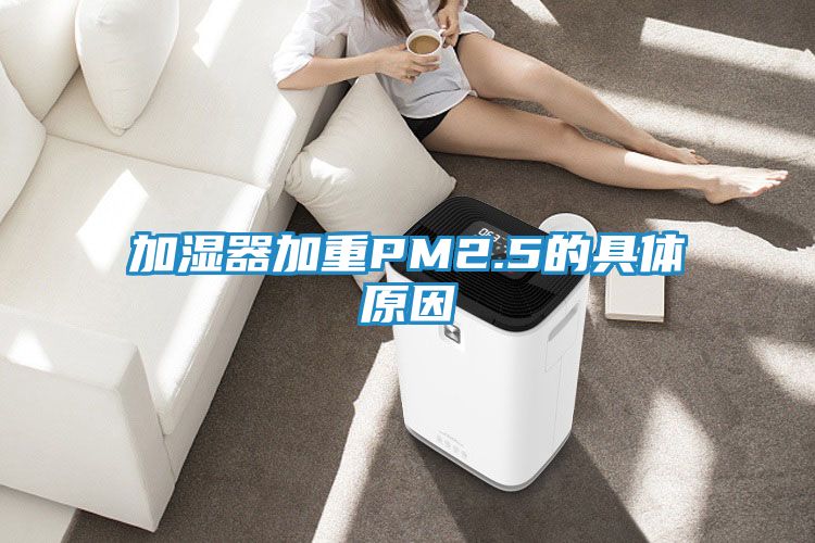 加湿器加重PM2.5的具体原因