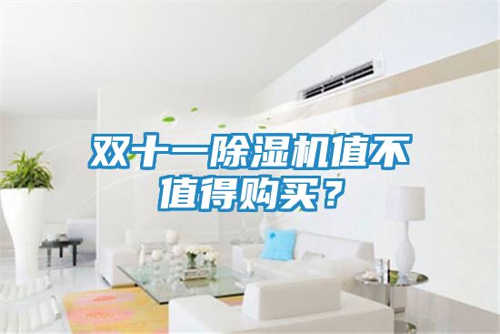 双十一除湿机值不值得购买？