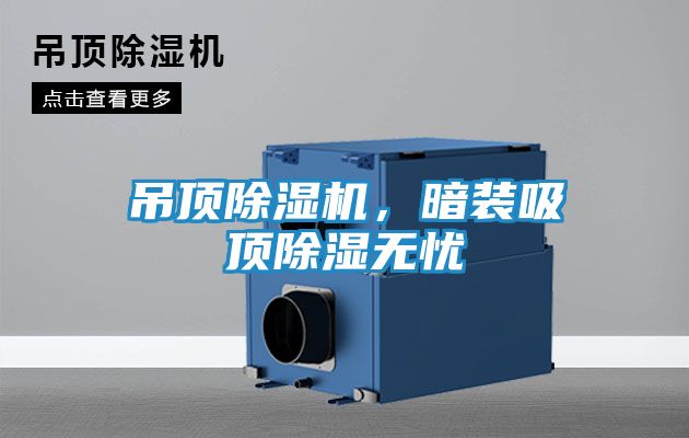 吊顶除湿机，暗装吸顶除湿无忧