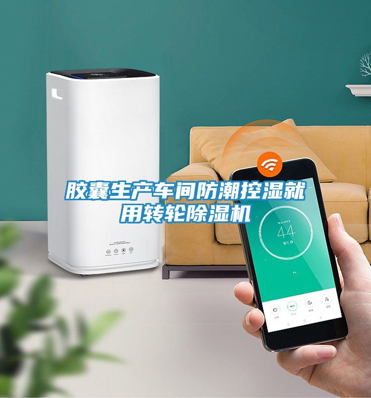 胶囊生产车间防潮控湿就用转轮除湿机