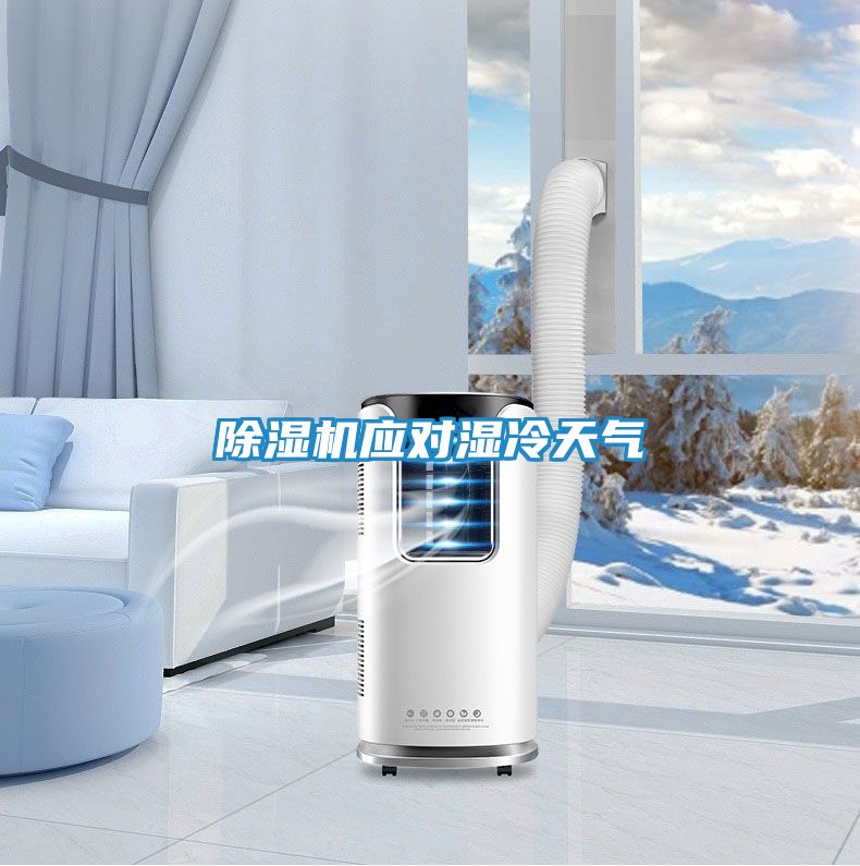 除湿机应对湿冷天气