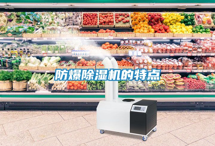 防爆除湿机的特点