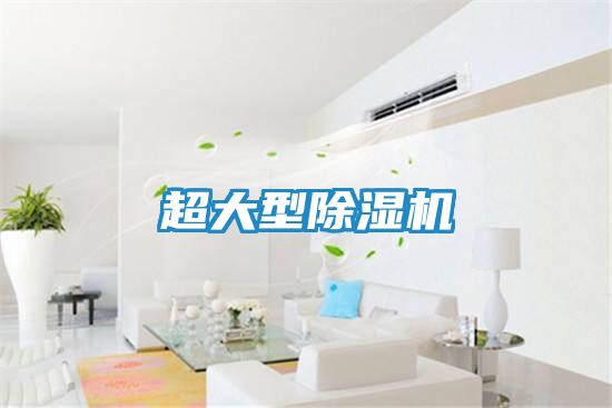 超大型除湿机