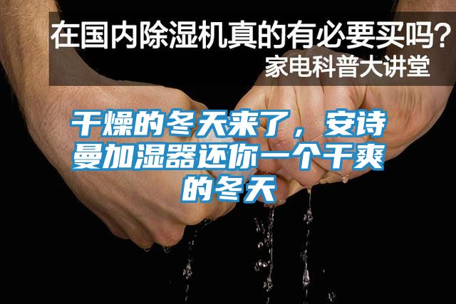 干燥的冬天来了，安诗曼加湿器还你一个干爽的冬天