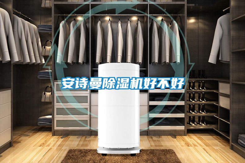 安诗曼除湿机好不好