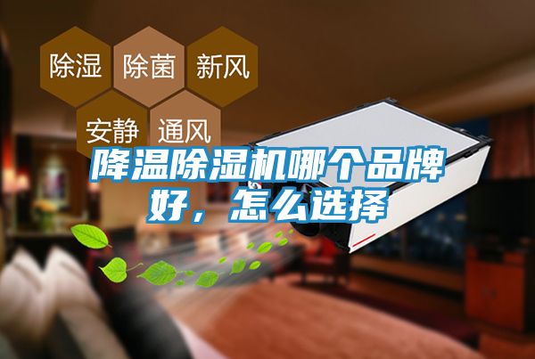 降温除湿机哪个品牌好，怎么选择