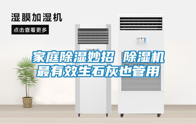 家庭除湿妙招 除湿机最有效生石灰也管用