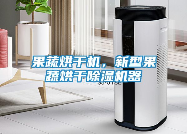 果蔬烘干机，新型果蔬烘干除湿机器