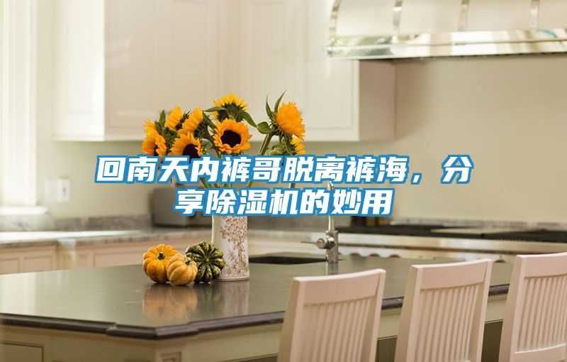 回南天内裤哥脱离裤海,分享除湿机的妙用