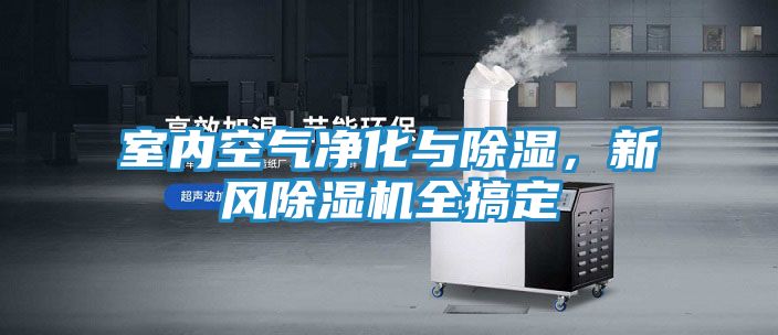 室内空气净化与除湿，新风除湿机全搞定