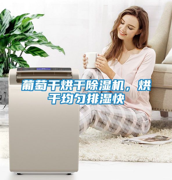 葡萄干烘干除湿机，烘干均匀排湿快