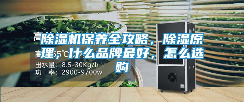 除湿机保养全攻略，除湿原理，什么品牌最好，怎么选购