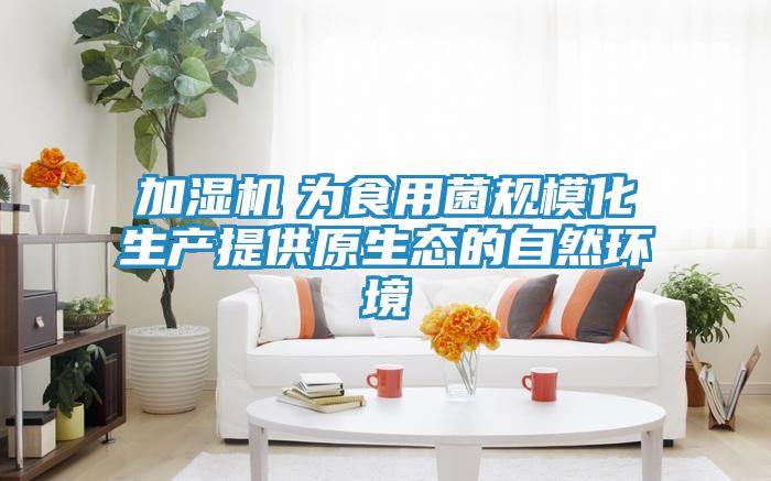 加湿机 为食用菌规模化生产提供原生态的自然环境