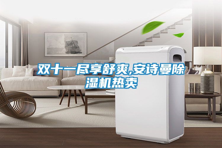 双十一尽享舒爽,安诗曼除湿机热卖