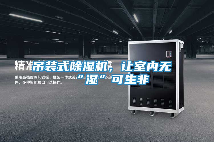 吊装式除湿机，让室内无“湿”可生非