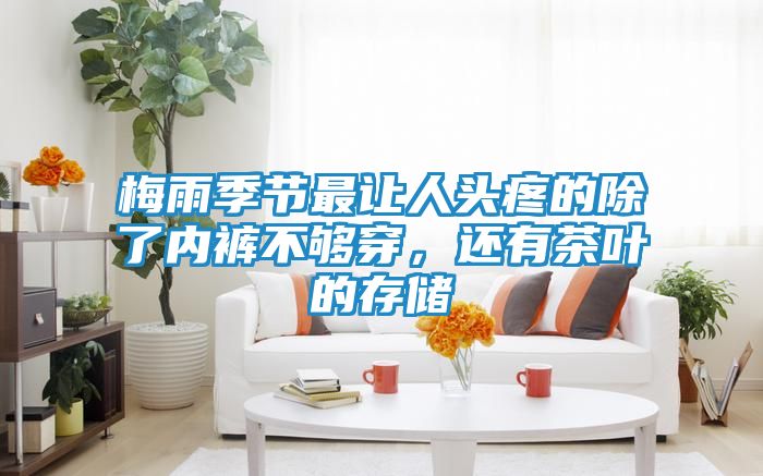 梅雨季节最让人头疼的除了内裤不够穿，还有茶叶的存储