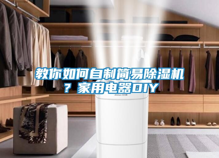 教你如何自制简易除湿机?家用电器DIY
