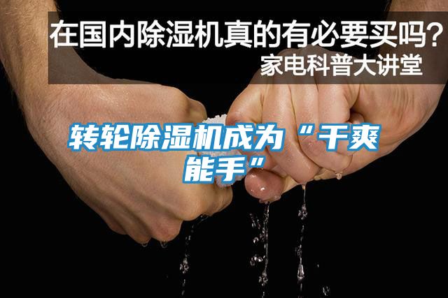 转轮除湿机成为“干爽能手”